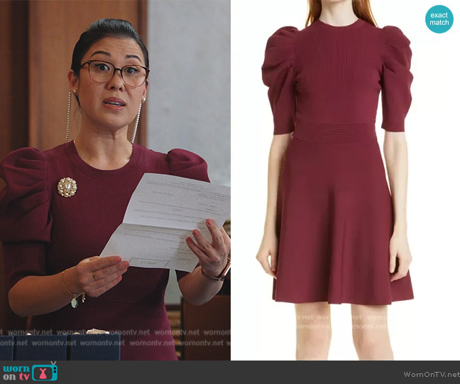 Ted Baker Lorna Puff Sleeve Skater Dress worn by Sherri Kansky (Ruthie Ann Miles) on All Rise