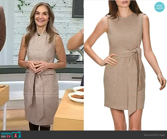 Toccin Plaid Tie-Waist Dress worn by Joy Bauer on Today