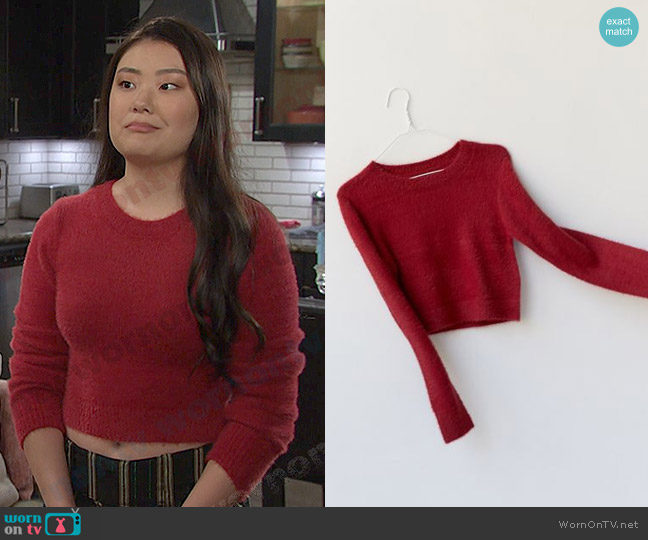 Urban Outfitters Spenser Crew Neck Fuzzy Sweater worn by Wendy Shin (Victoria Grace) on Days of our Lives