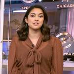 Valerie Castro’s brown tie neck sheer blouse on NBC News Daily