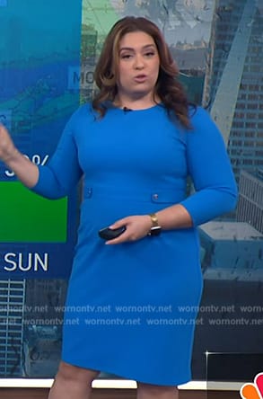 Violeta Yas's blue sheath dress on NBC News Daily