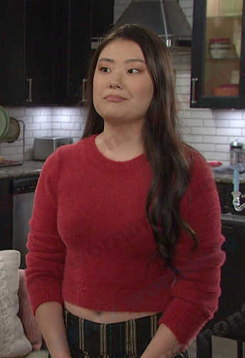 Wendy's red cropped sweater on Days of our Lives