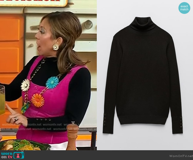 Zara Basic High Neck Knit Sweater worn by Elizabeth Heiskell on Today