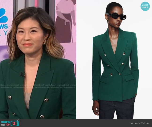 WornOnTV: Angela Cenedella’s green double breasted blazer on NBC News ...