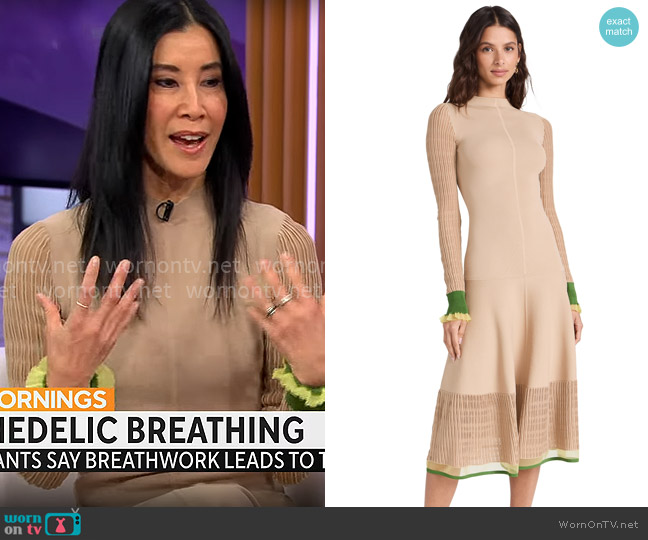 3.1 Phillip Lim Micro Rib Ottoman Dress worn by Lisa Ling on CBS Mornings