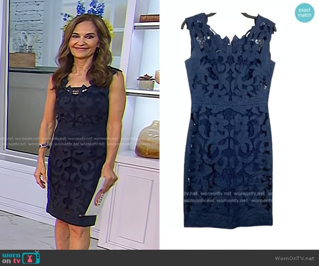 Betsey Johnson Navy Linen Lace Dress worn by Joy Bauer on Today