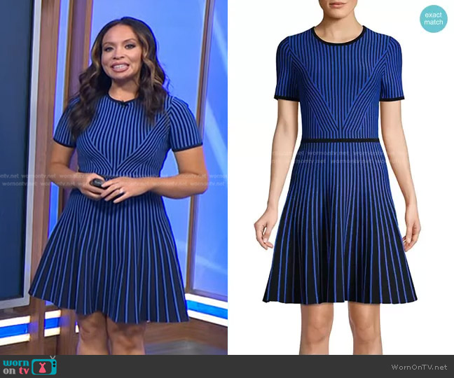 WornOnTV: Adelle’s blue striped dress on Today | Adelle Caballero ...
