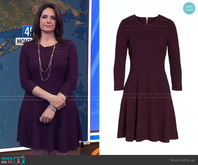 Eliza J Sweater Knit Fit & Flare Dress worn by Maria Larosa on Today