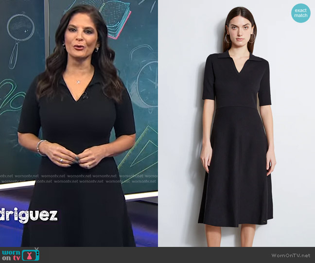 Elie Tahari Fit & Flare Knit Polo Dress worn by Darlene Rodriguez on Today