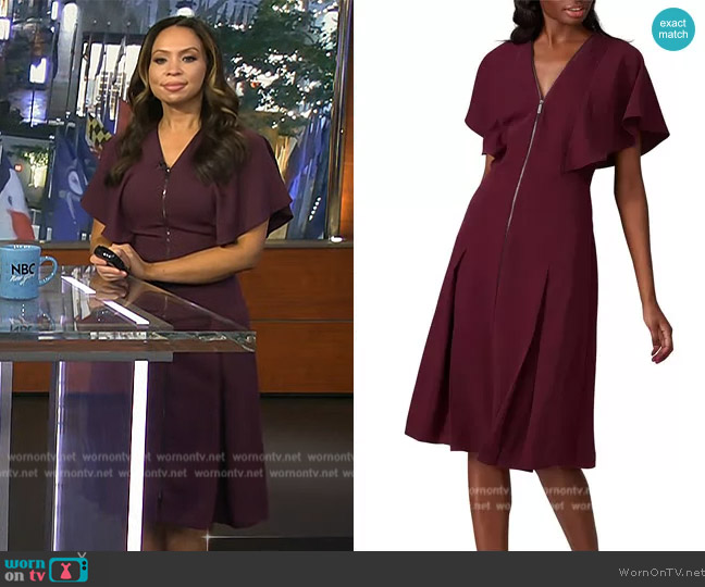 Ted Baker Kasiane Dress worn by Adelle Caballero on Today