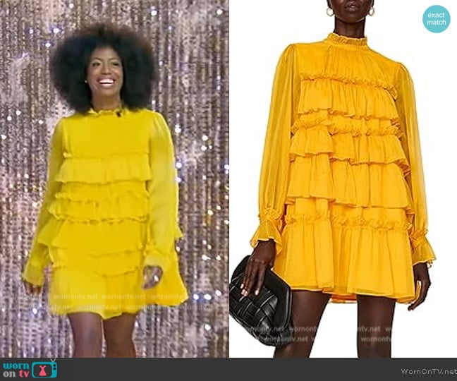 Adam Lippes Tiered Ruffle Dress worn by Brandee Younger on Tamron Hall Show