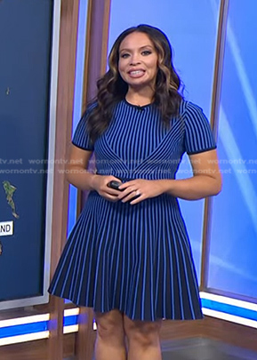 Adelle's blue striped dress on Today