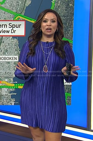 Adelle's purple pleated mini dress on Today