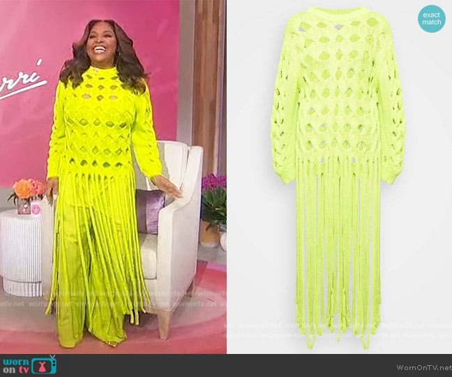 Aknvas Cameron Sweater worn by Sherri Shepherd on Sherri