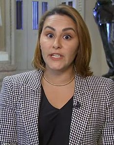 Ali Vitali's houndstooth print blazer on NBC News Daily