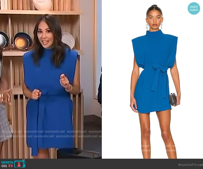 Amanda Uprichard Cleary Dress worn by Diane Mizota on Access Hollywood