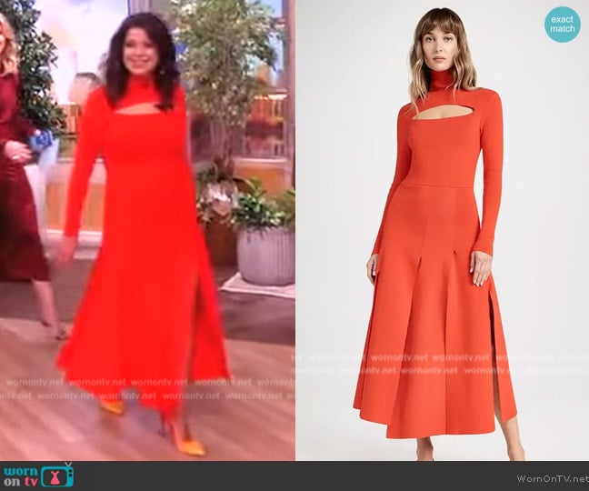 A.W.A.K.E. MODE Asymmetric cutout stretch-knit turtleneck dress worn by Ana Navarro on The View