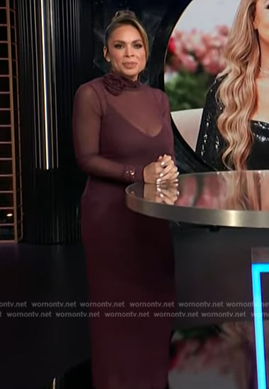 Carolina's burgundy mesh sheer dress on E! News