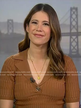 Deirdre Bosa's brown ribbed top on NBC News Daily