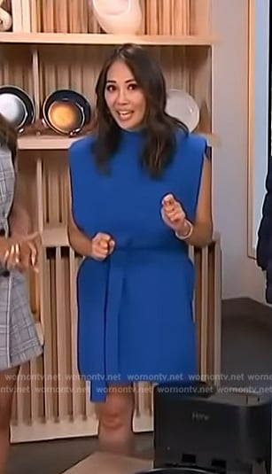 Diane Mizota’s blue tie waist dress on Access Hollywood