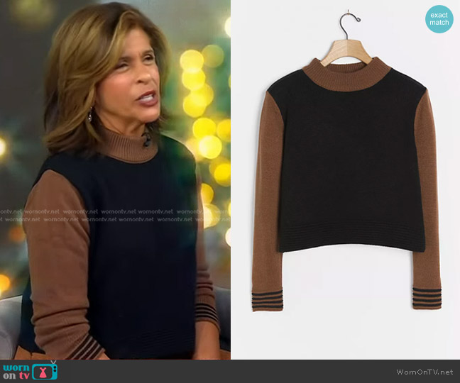 En Elly Viola Sweater worn by Hoda Kotb on Today