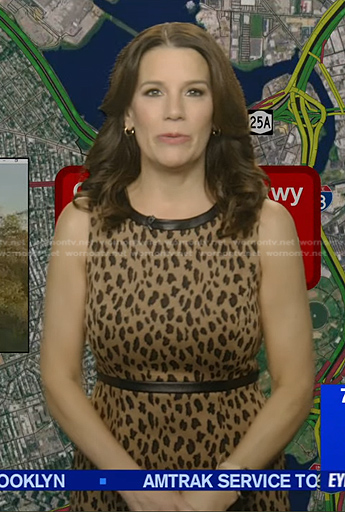 Heather's beige leopard sleeveless dress on Good Morning America