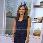 Joy Bauer’s blue lace dress on Today