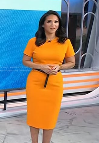 Laura's orange short sleeve sheath dress on Today