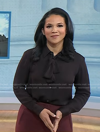 WornOnTV: Laura’s brown tie neck blouse on Today | Laura Jarrett ...