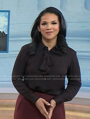 Laura's brown tie neck blouse on Today