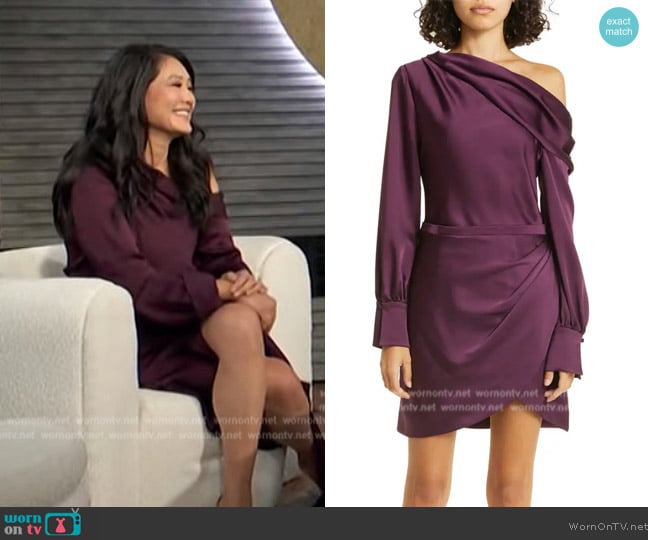 Simkhai Cameron Long Sleeve One-Shoulder Minidress worn by Crystal Kung Minkoff on E! News