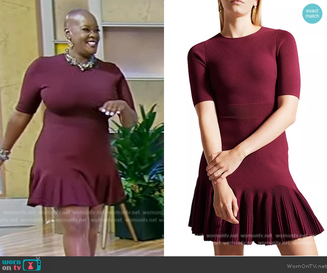 Ted Baker Josafee Pleated Mini Dress worn by Sonya Renee Taylor on Tamron Hall Show