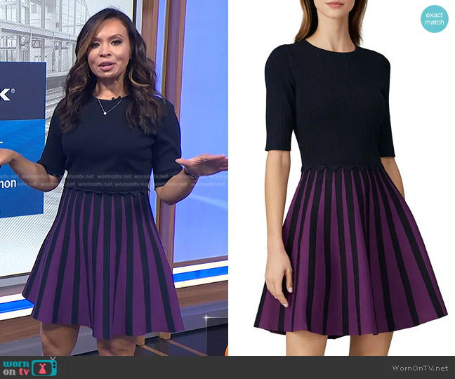 WornOnTV: Adelle’s navy and purple striped knit dress on Today | Adelle ...