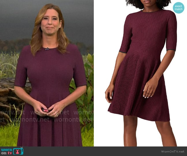 Ted Baker Renyina Dress worn by Stephanie Abrams on CBS Mornings