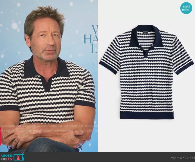 Todd Snyder Zipper Stripe Montauk Polo worn by David Duchovny on Access Hollywood