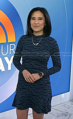 Vicky's blue animal print dress on Today