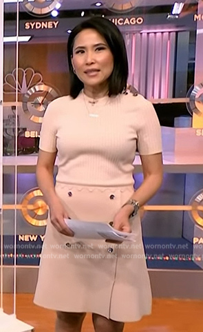 Vicky's pink button front dress on NBC News Daily