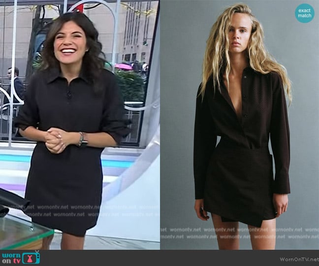 Zara Pinstripe Shirt Dress worn by Adrianna Barrionuevo Brach on Today