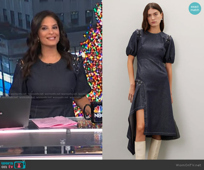 Bibhu Mohapatra Collective Puff Sleeve Midi Dress worn by Darlene Rodriguez on Today