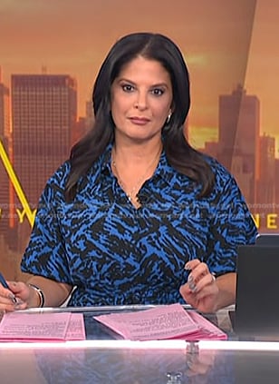 Darlene's blue printed shirtdress on Today