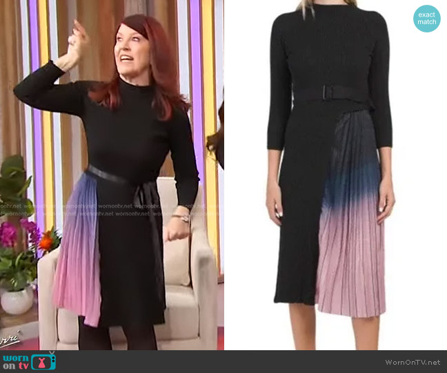 Dalia MacPhee Mock Neck Ribbed Knit Dress with Pleat Ombre Skirt worn by Kate Flannery on Sherri