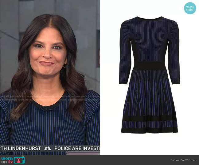 Shoshanna Bleeker Dress worn by Darlene Rodriguez on Today