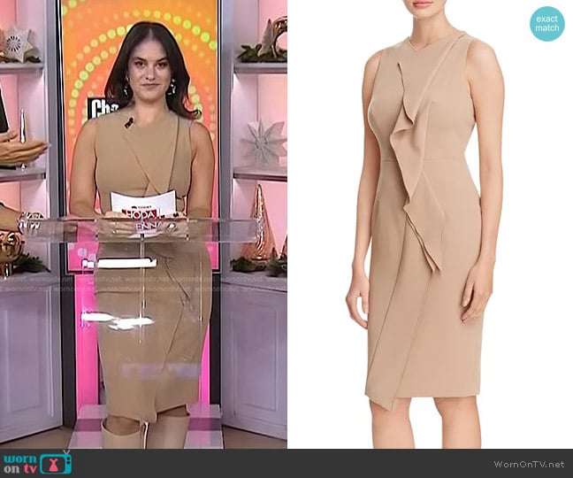 Karen Millen Ruffle Dress worn by Donna Farizan on Today