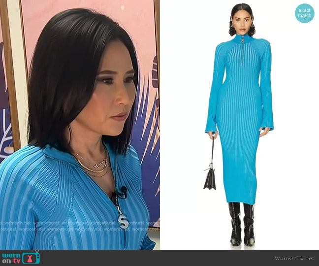 Simon Miller Zumi Dress in Pacific Blue worn by Vicky Nguyen on Today