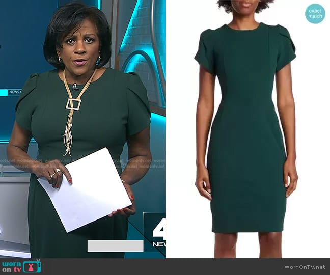 WornOnTV: Pat Battle’s green puff short sleeve dress on NBC News Daily ...