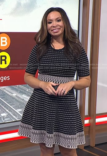 Adelle’s black striped skater dress on Today