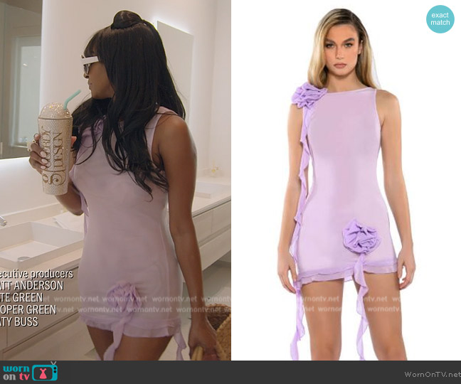 Akira Laura Mesh Flounced Mini Dress worn by Guerdy Abraira (Guerdy Abraira) on The Real Housewives of Miami