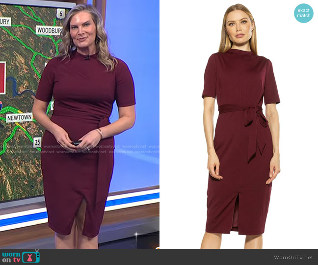 Alexia Admor Reston Dress in Burgundy worn by Emily West on Today