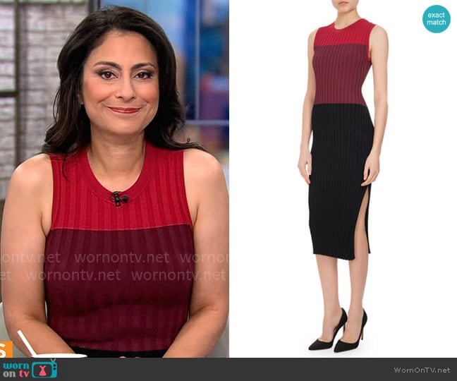 Altuzarra Mariana Ribbed Colorblock Sheath Dress worn by Dr. Celine Gounder on CBS Mornings