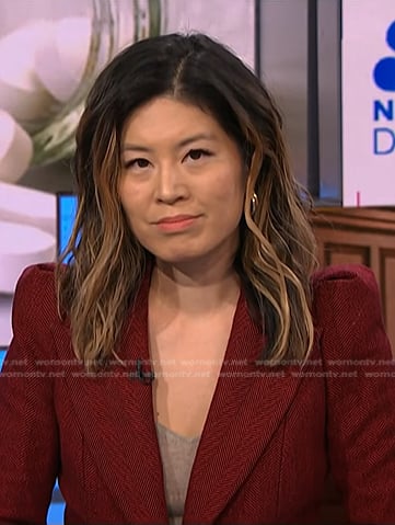 Angela Cenedella's red herringbone blazer on NBC News Daily